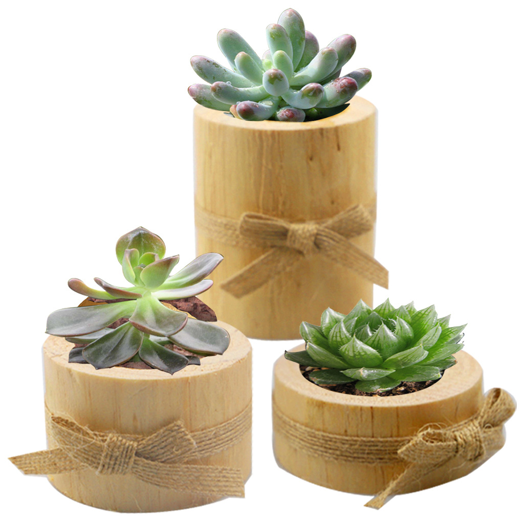 Antik Kayu Kompor Sukulen Vas  - Holiday Candle Set ulasan dan harga